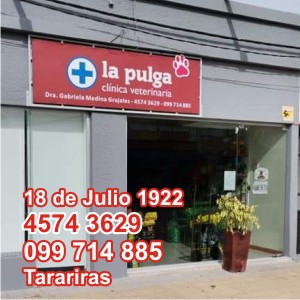 Veterinaria La Pulga